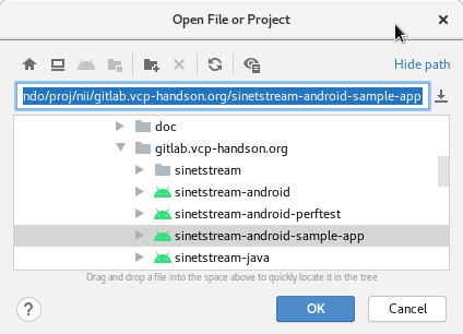 Open File or Project