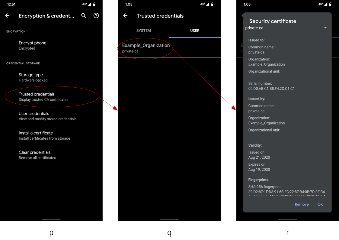 Check the installed self-signed server certificate