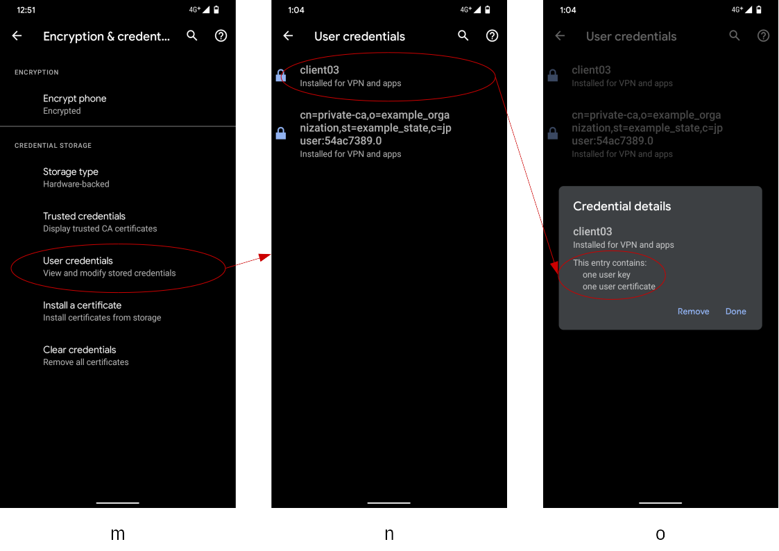 Check the installed client certificate(1)